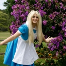 alice2