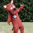 Scooby Doo 1