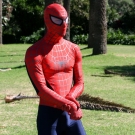 Spiderman 4
